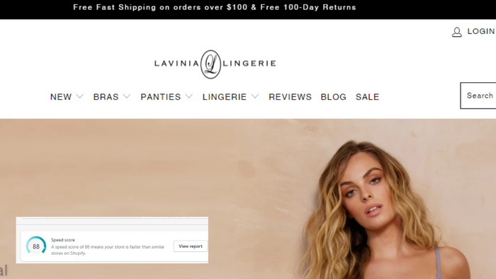 How Lavinia Lingerie Got A Shopify Speed Score Over 80