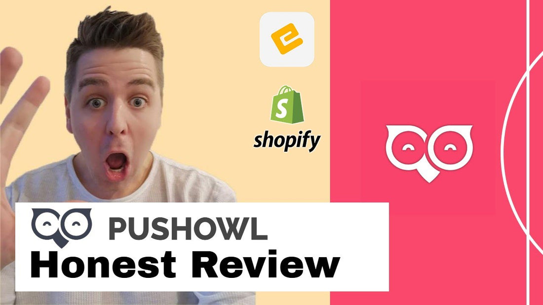 PushOwl Web Push Notifications For Shopify - App Review and Tutorial