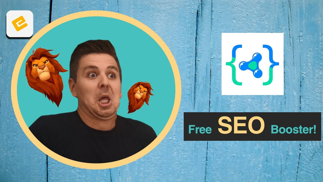 The Best Shopify SEO App? SEO BOOSTER APP - Honest Review